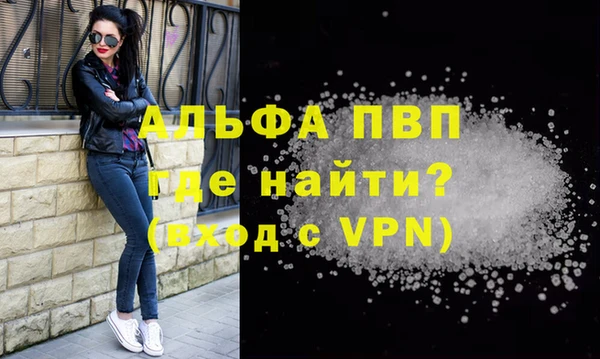 spice Беломорск