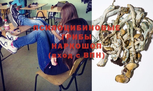 первитин Белокуриха