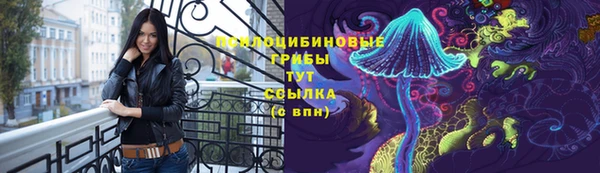 spice Беломорск