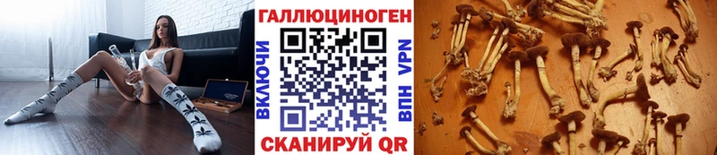 Псилоцибиновые грибы Magic Shrooms  kraken зеркало  Петровск 